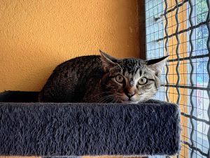 Eros
