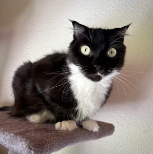 Oona